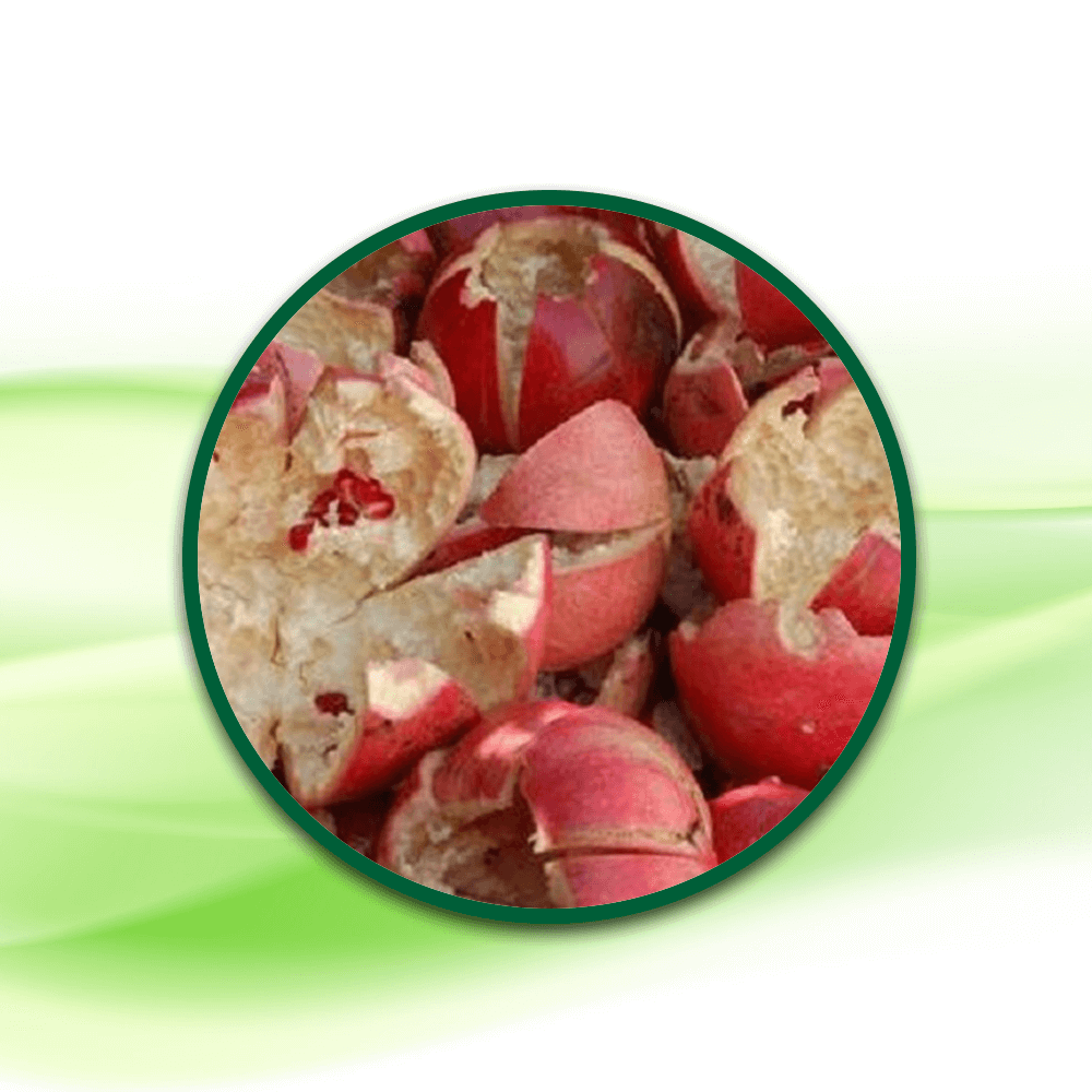 Nar Kabuğu Sıvı EkstresiPunica anatumPomeanate Fruit Peel Extract